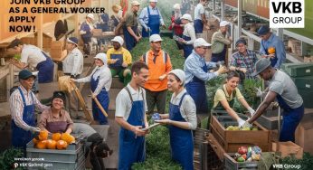 VKB Group Hiring 2025: Apply Now for General Worker Jobs – No Experience Needed!