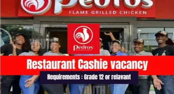 Now Hiring: Pedros Cashier & Waiter Jobs Available — No Experience Needed