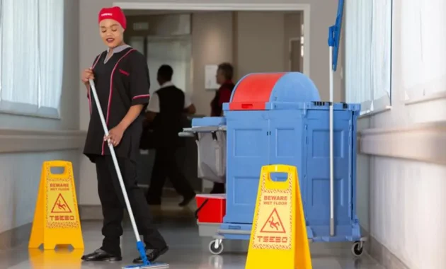 Tsebo Cleaning and Hygiene Solutions