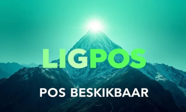 Ligpos