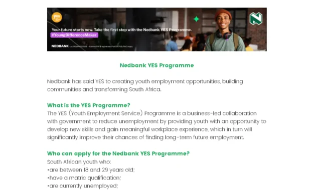 Nedbank YES Programme 2025