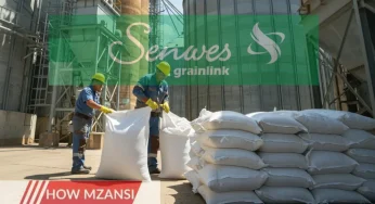 Senwes Grainlink Hiring General Workers – No Experience Needed