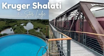 Urgent Hiring: Kruger Shalati Waiter Vacancies Open – Apply Before Closing Date!