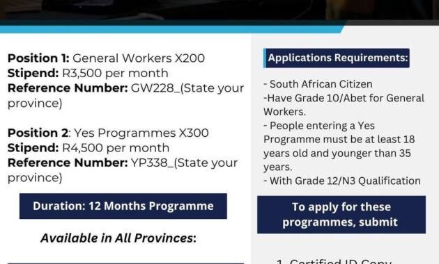 Government Launches 500-Paid Work Programmes for South African Youth – Apply Before It’s Too Late