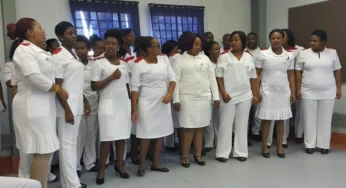 216 Government Nursing Jobs Now Open: Apply for Department of Health’s Professional Nurse General Posts Before 8 August 2025!