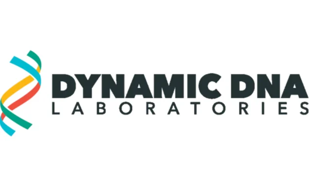 Dynamic DNA
