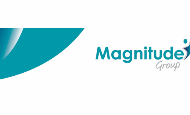 Magnitude Group