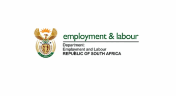 Department of Employment and Labour Offers 454 UIF Client Service Officer Jobs Through PYEI