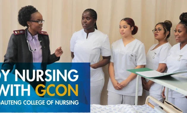 Gauteng College of Nursing